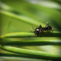 /album/marillenpatenschaft/photolia-a05-jpg/