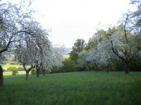 /album/marillenpatenschaft/image-6-jpg/